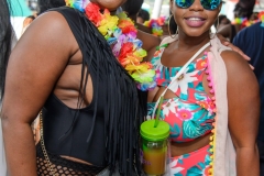 more at www.bajantube.com