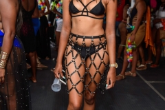 more at www.bajantube.com