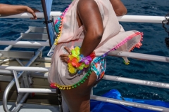 more at www.bajantube.com
