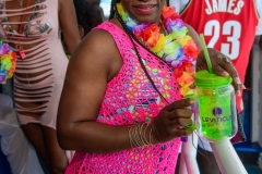 more at www.bajantube.com