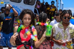 more at www.bajantube.com