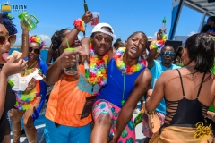 more at www.bajantube.com