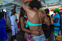 more at www.bajantube.com