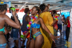 more at www.bajantube.com