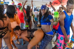 more at www.bajantube.com