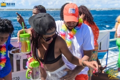 more at www.bajantube.com