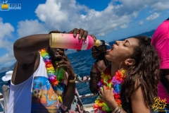 more at www.bajantube.com